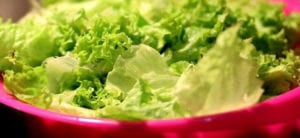 meilleure essoreuse à salade