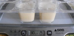avis test essai yaourtière SEB multidelices express YG661500