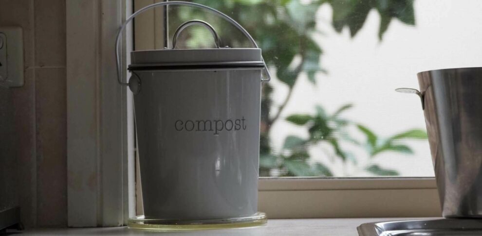 meilleur composteur cuisine compost avis comparatif