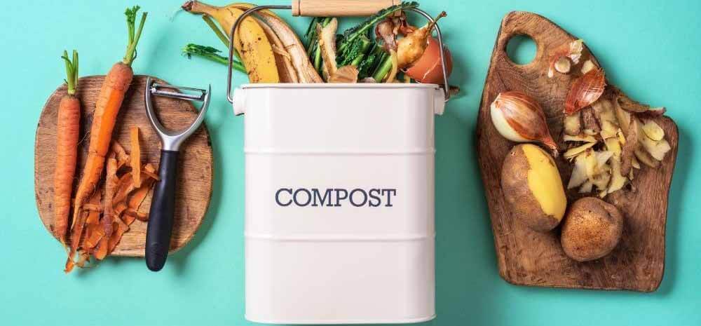 Guide d'achat du meilleur bac à compost