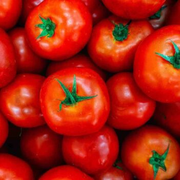 meilleur presse tomates épépineuse avis comparatif guide d'achat
