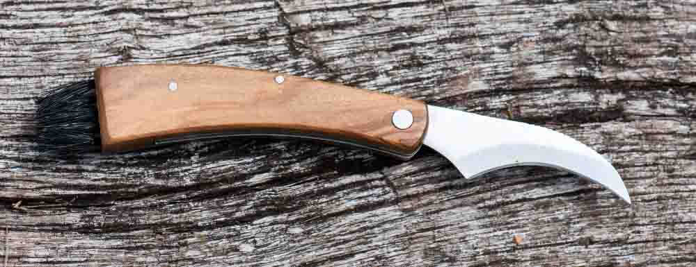 meilleur couteau a champignon avis comparatif guide d'achat