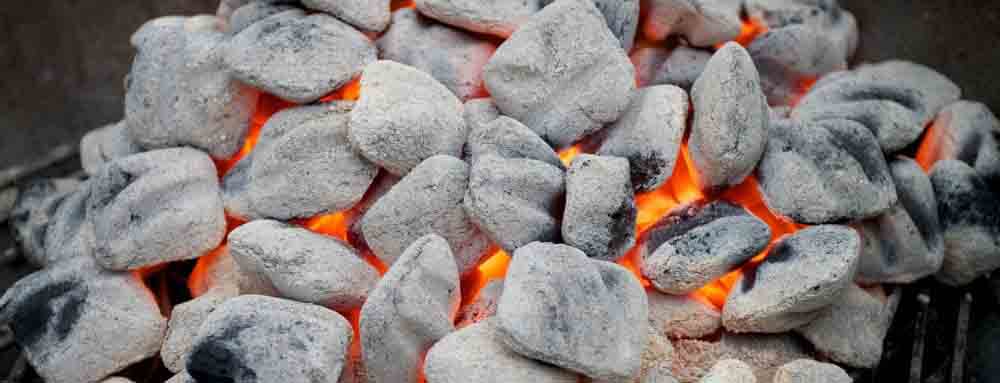 meilleur charbon de bois briquette barbecue avis comparatif guide d'achat