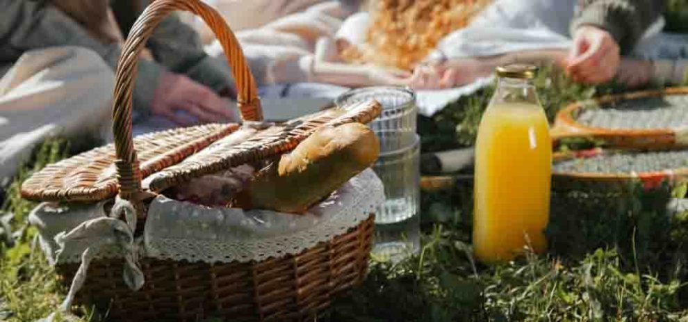 meilleur panier pique-nique picnic osier isotherme