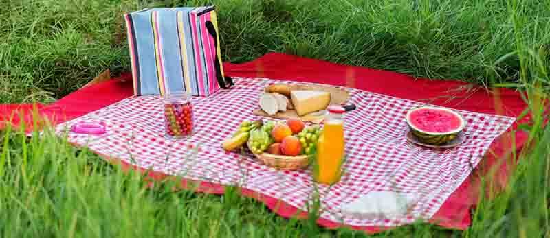 meilleure couverture nappe pique nique picnic