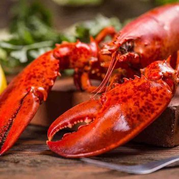 meilleures pinces a crustaces crabe fruits de mer homard