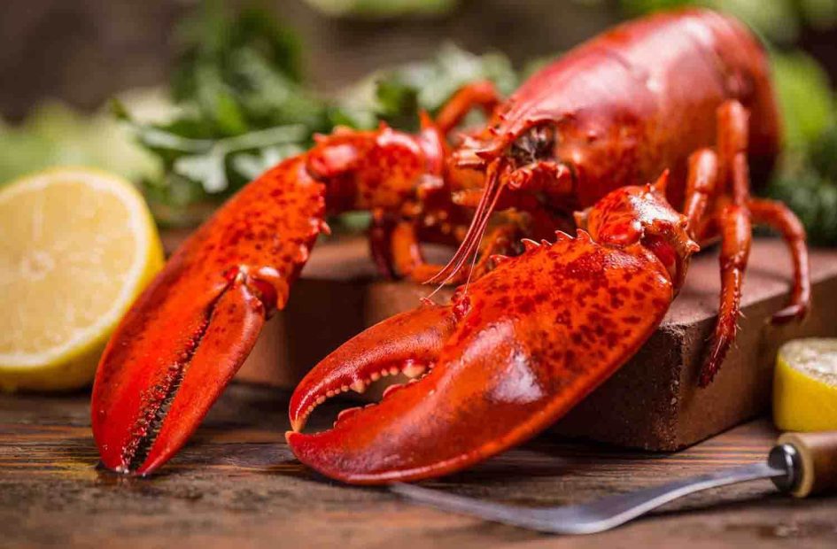 meilleures pinces a crustaces crabe fruits de mer homard